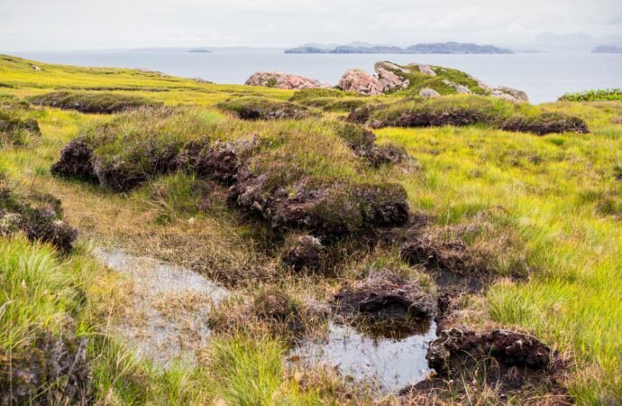 Why are bogs so good at preserving dead bodies?