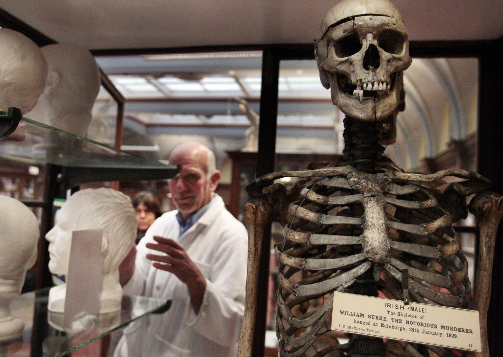 Dr Gordon Findlater, an older white man, looks at the skeleton of mass murderer William Burke before it goes on display to the public following a revamp of the Anatomy Museum at the University of Edinburgh.