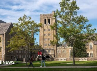 Woman at centre of Cornell University rape inquiry in ‘constant fear’, lawyer says