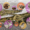 World’s largest wildlife crossing nears completion in California