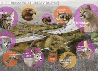World’s largest wildlife crossing nears completion in California