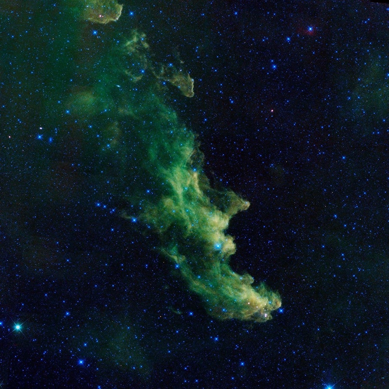 An infrared portrait of the Witch Head nebula from NASA's Wide-field Infrared Survey Explorer, or WISE, shows billowy clouds where new stars are brewing.
Credit: NASA / JPL-Caltech