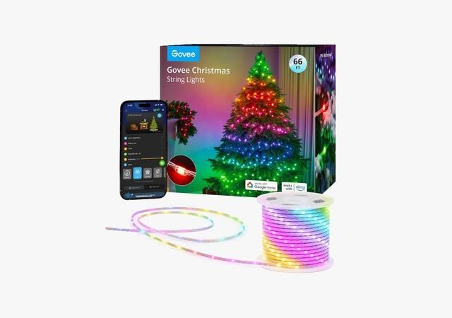 Your Family Will Adore These Smart String Lights
