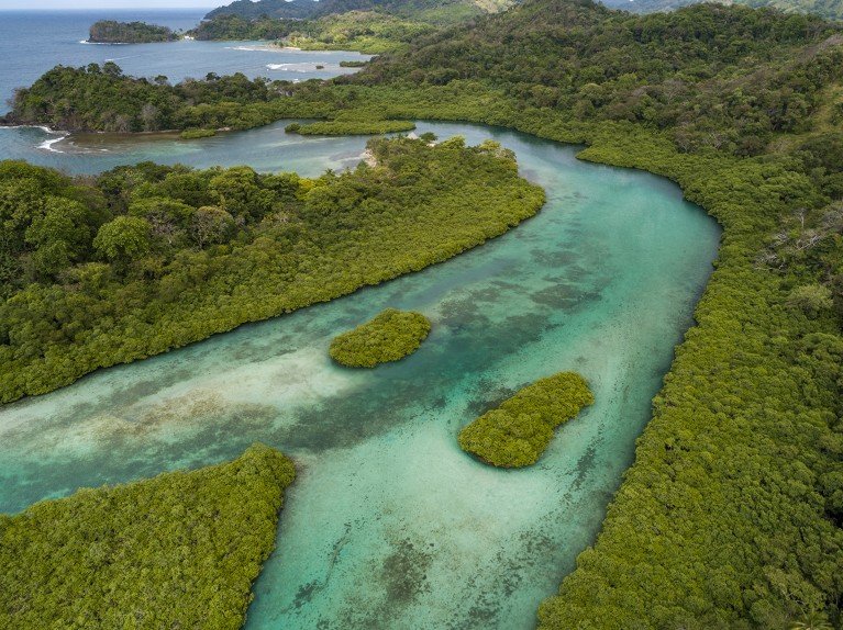 Aerial photograph of mangroves and sandbars winding along the Caribbean coastline in Venas Azules, Panama.