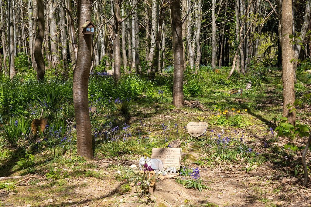 Graves amongst trees Greenwood woodland burial ground cemetery, near Saxmudham, Suffolk, England, UK. 