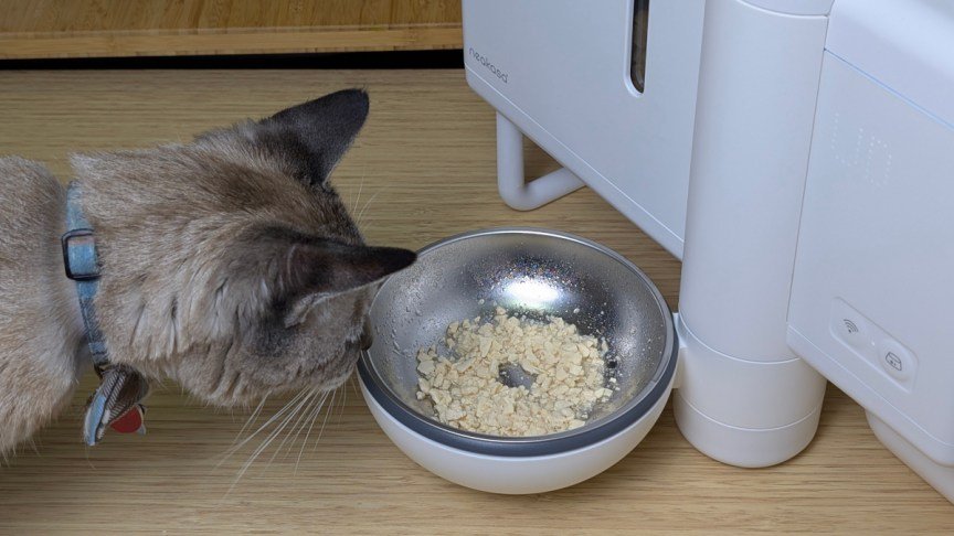 neakasa-riko-smart-pet-feeder-on-desk-with-prepared-meal-and-cat-investigating