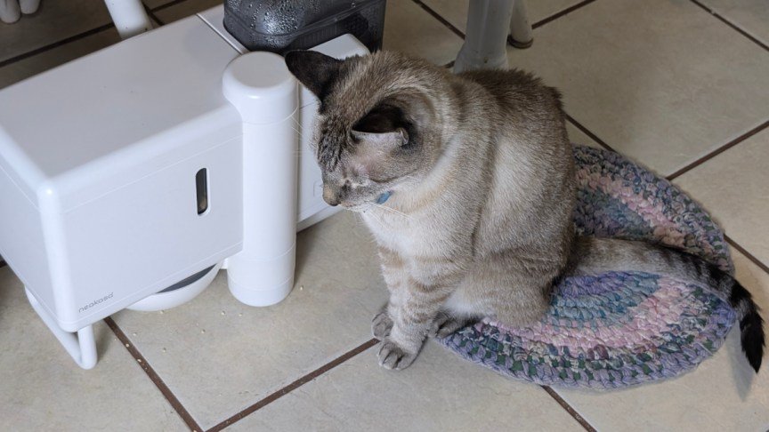 neakasa-riko-smart-pet-feeder-on-tile-floor-with-cat-sitting-nearby