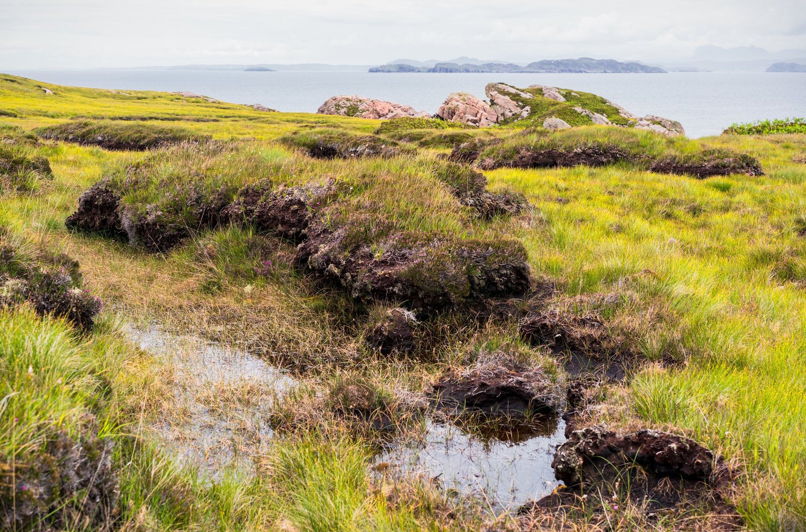 A coastal peat bog that looks like a grassy wetland near a rocky coast with islands in the distance.