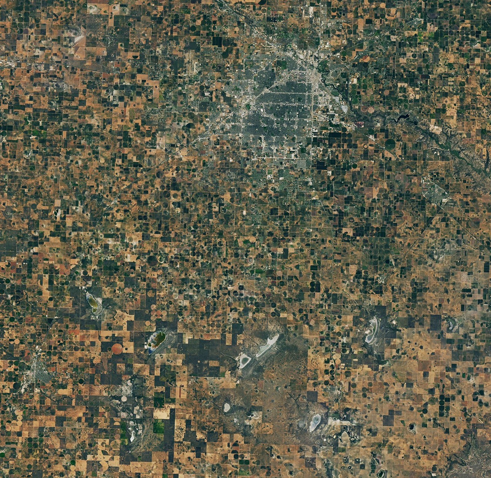 A satellite image of farmland around Lubbock, Texas, on September 22, 2025, features a patchwork of green and brown agricultural fields and several playa lakes with varying amounts of water.